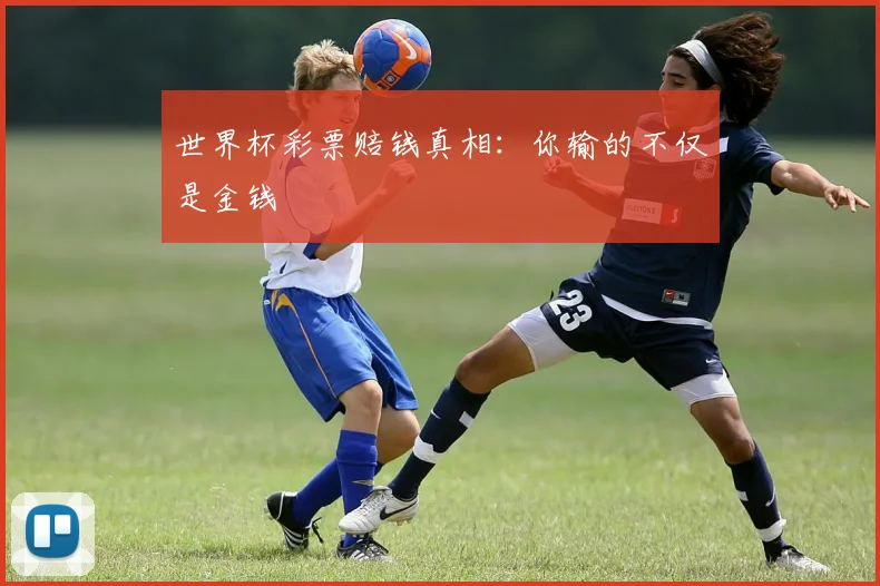 世界杯彩票赔钱真相：你输的不仅是金钱