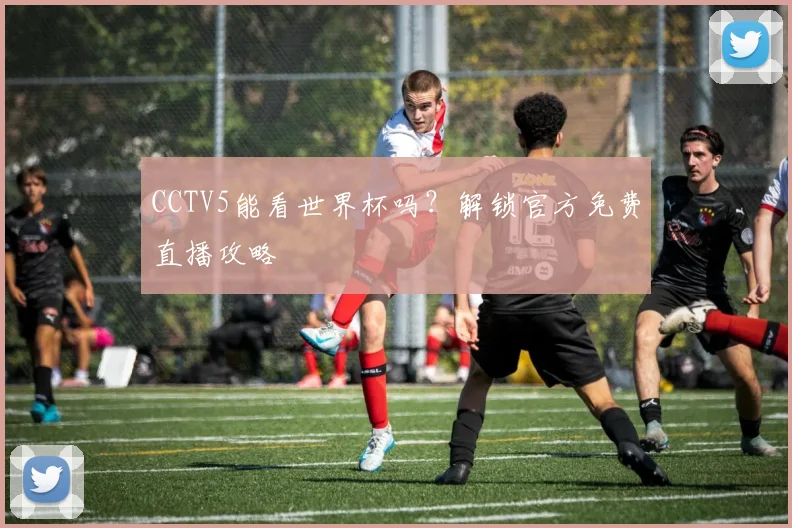 CCTV5能看世界杯吗?解锁官方免费直播攻略