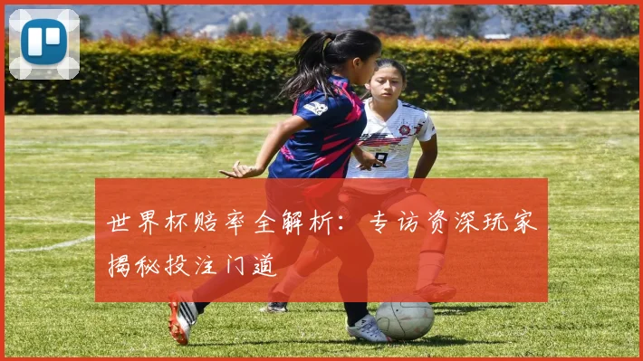 世界杯赔率全解析:专访资深玩家揭秘投注门道
