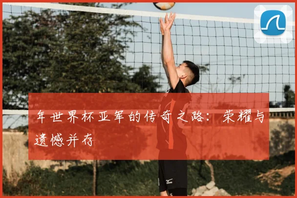 年世界杯亚军的传奇之路：荣耀与遗憾并存