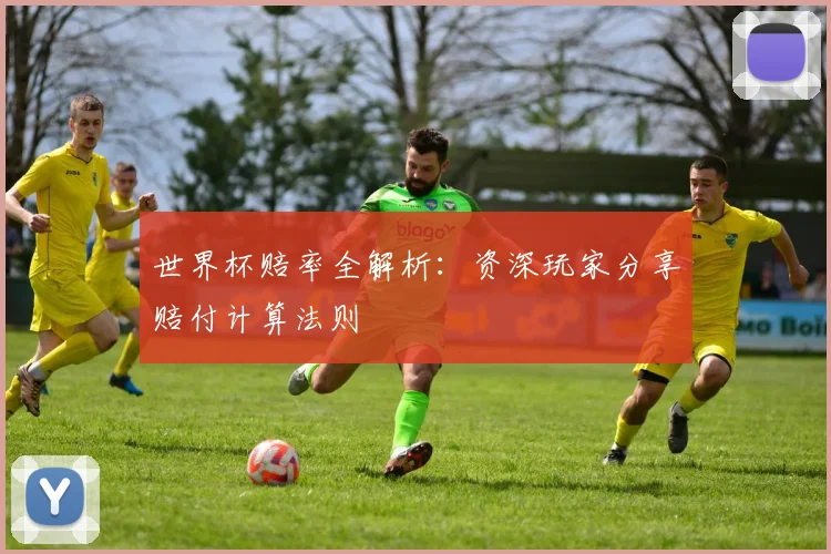 世界杯赔率全解析:资深玩家分享赔付计算法则