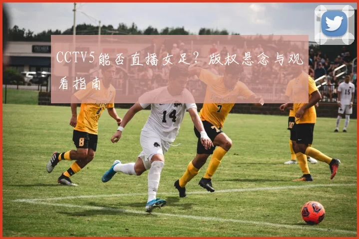 CCTV5能否直播女足？版权悬念与观看指南