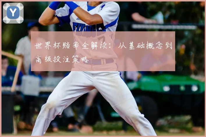 世界杯赔率全解读：从基础概念到高级投注策略