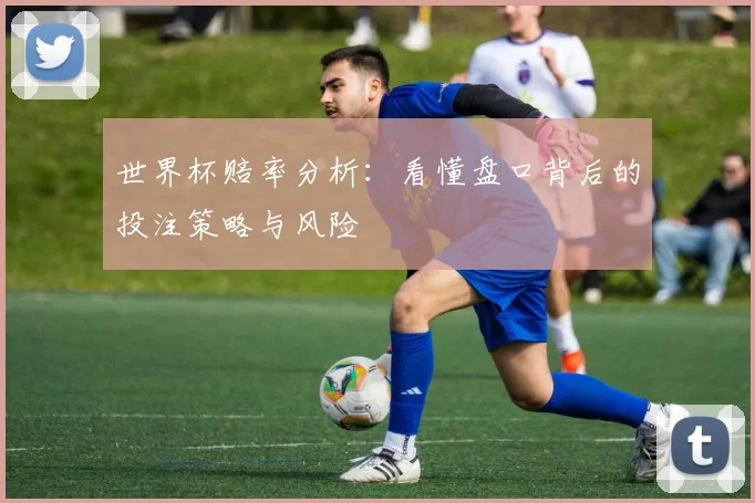 世界杯赔率分析：看懂盘口背后的投注策略与风险