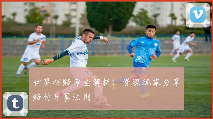 世界杯赔率全解析:资深玩家分享赔付计算法则